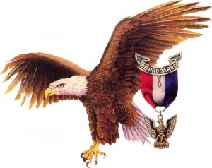 eagle_scout